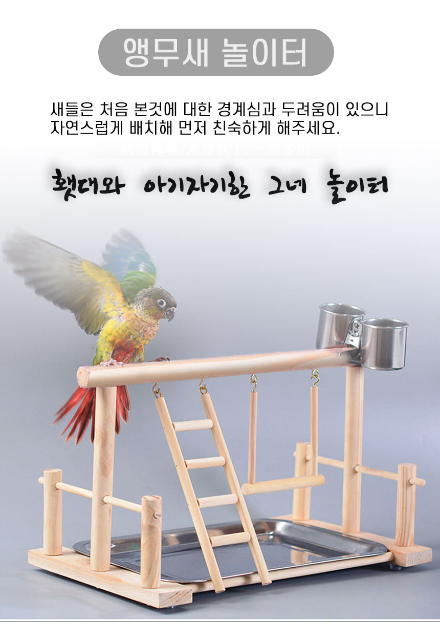 앵무새놀이터